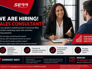 Sales Consultant
