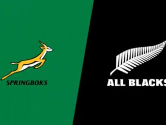 Springboks vs All Blacks referee