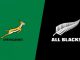 Springboks vs All Blacks referee