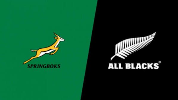 Springboks vs All Blacks referee