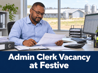 Admin Clerk Vacancy at Festive